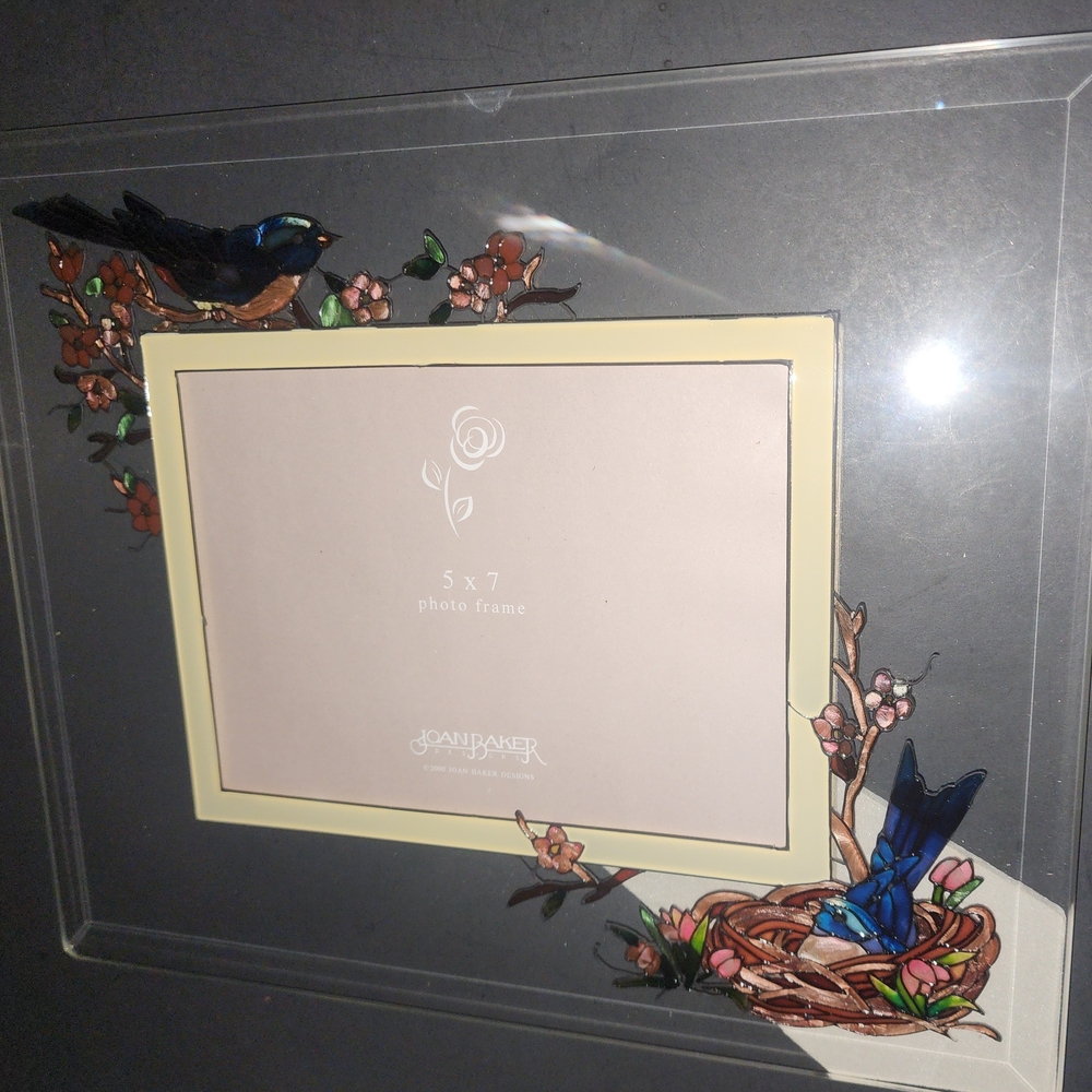 Hand Painted Glass Photo Frame 5×7 Vtg Joan Baker Birds Nest NWT